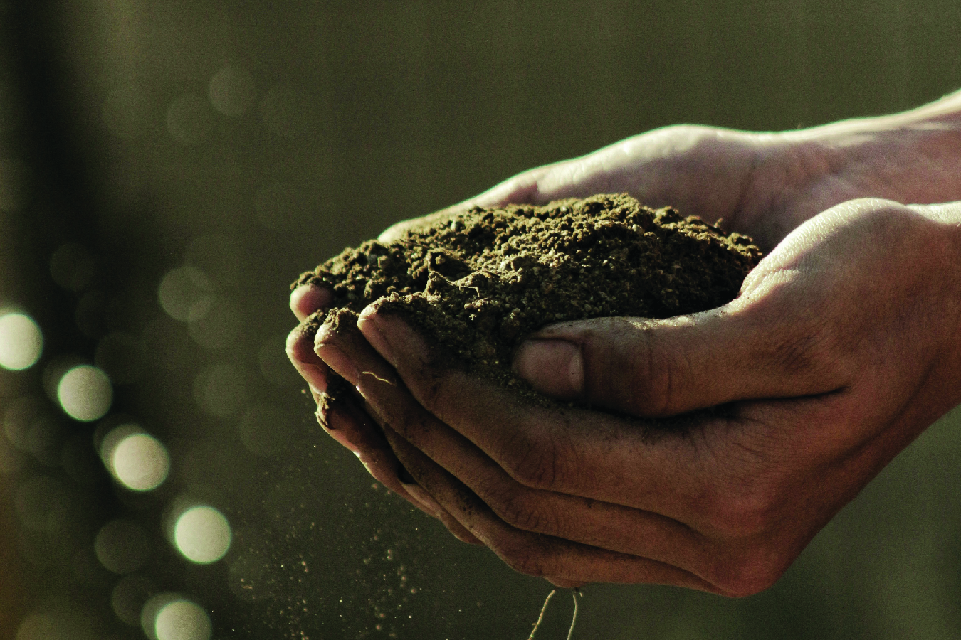 sustainable development